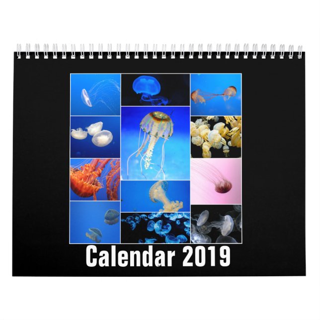 Quallen-Gewohnheit Druckkalender 2019 Kalender (Titelbild)