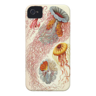 Quallen Iphone 4/4s Fall iPhone 4 Case-Mate Hülle