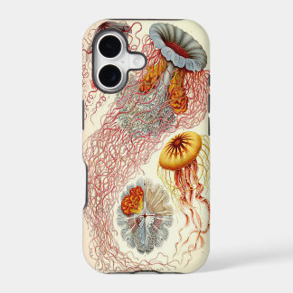 Quallen iPhone 5 Hülle