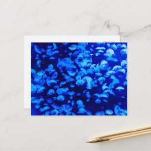 Quallen, Meerestiere, Meereslebewesen, Meerestiere Postkarte