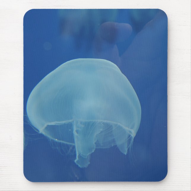 Quallen Mousepad (Vorne)
