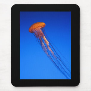 Quallen Mousepad