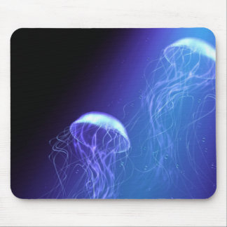 Quallen Mousepad
