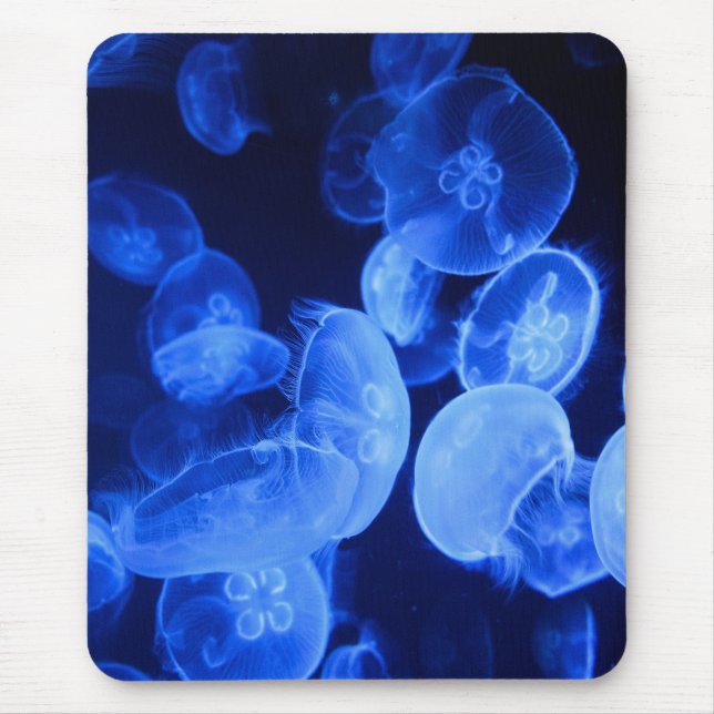 Quallen, Natur, Seegelee Mousepad (Vorne)