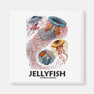 Quallen (Naturkunst von Ernest Haeckel) Magnet