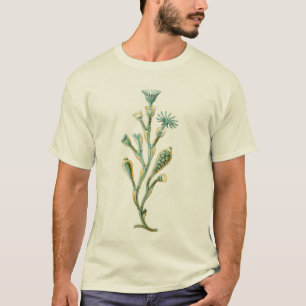 Quallen - Obelia geniculata T-Shirt