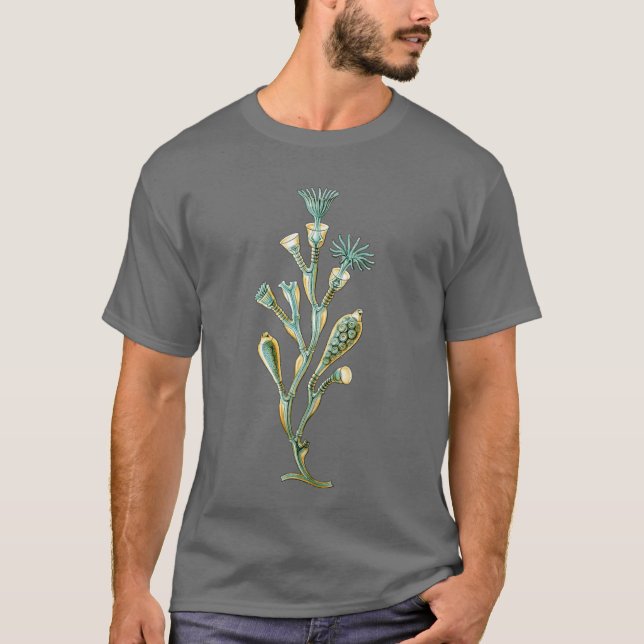 Quallen - Obelia geniculata T-Shirt (Vorderseite)