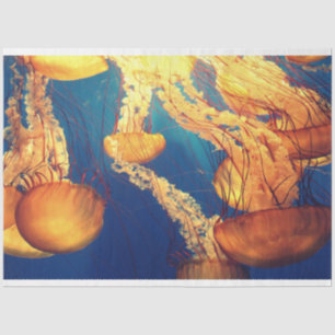 Quallen-Ozean 20x30 Decoupage Seidenpapier