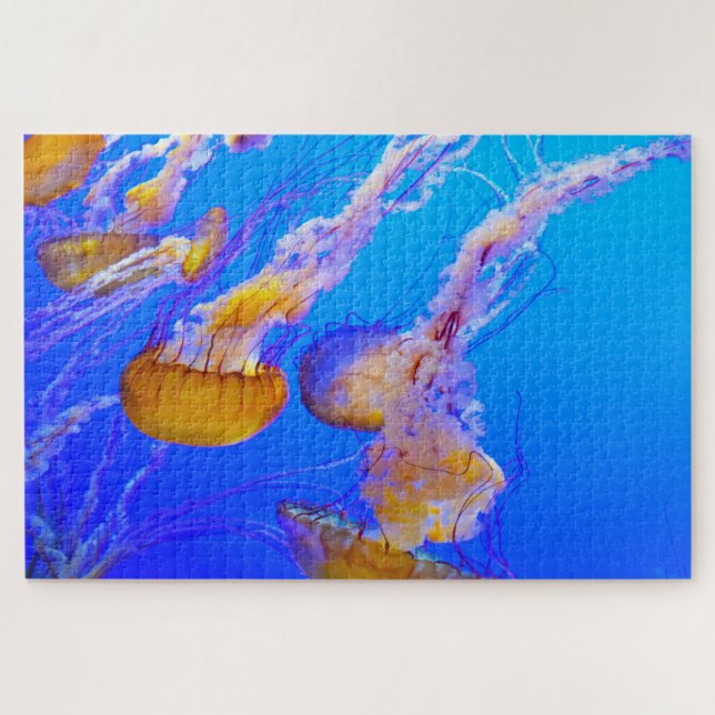 Quallen Puzzle (Horizontal)