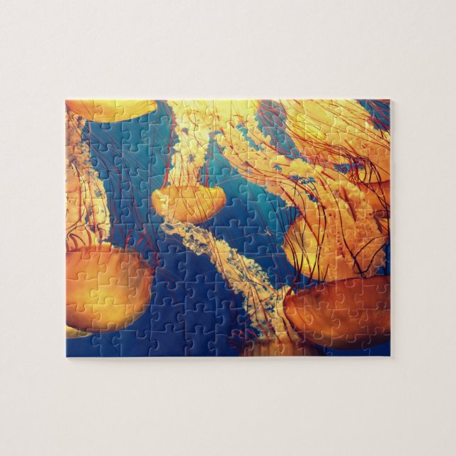 Quallen Puzzle (Horizontal)