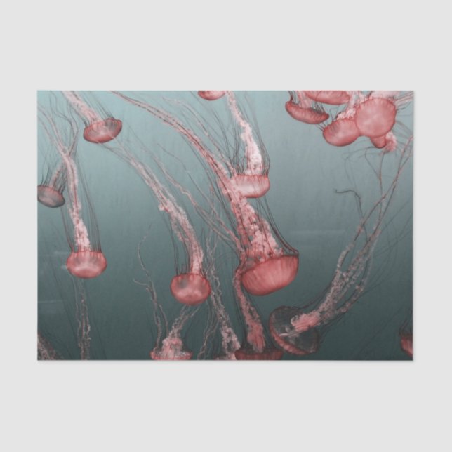 Quallen Seidenpapier (Vorderseite)