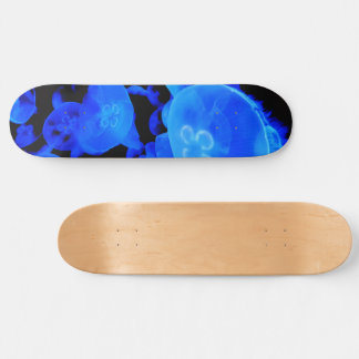 Quallen Skateboard