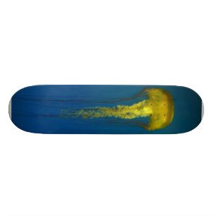 Quallen Skateboard