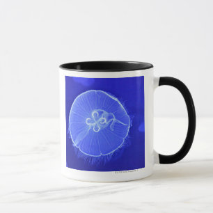 Quallen Tasse