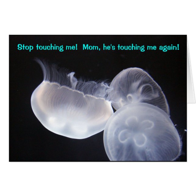 Quallen-Touch (Vorderseite (Horizontal))