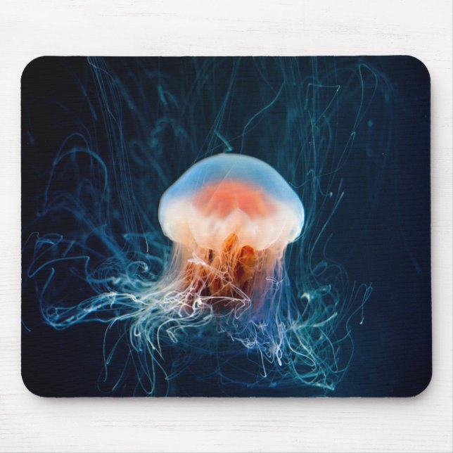 Quallen Unterwasser - Dunkles Licht Mousepad (Vorne)