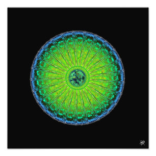 Quallenschirm Fotodruck