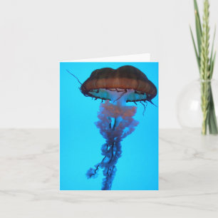 Quallyfish Notecard Karte