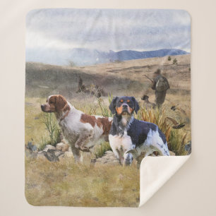 Quantenjagd mit Spaniels aus der Bretagne, Art Sherpadecke