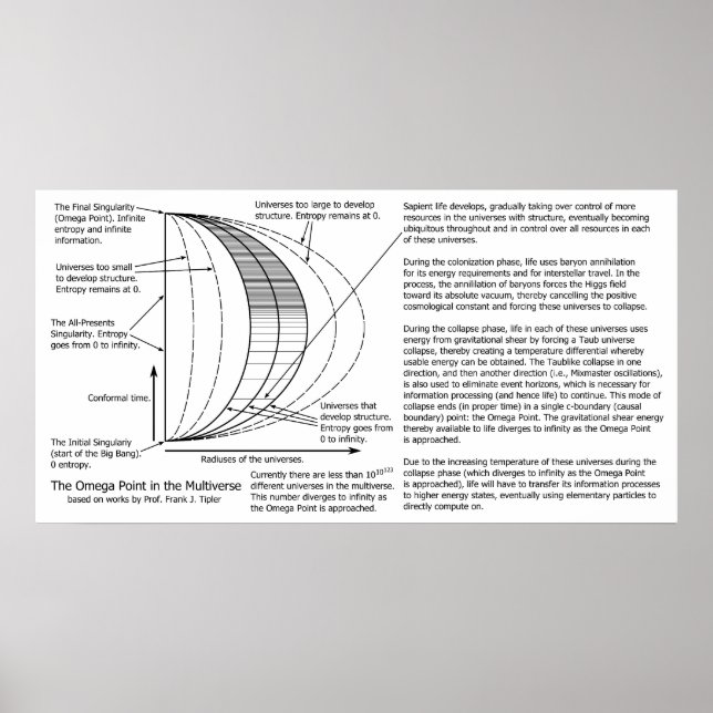 Quantenmechanik Multiverse Omega-Punktdiagramm Poster (Vorne)