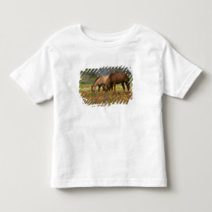 Quarter Horse auf einem Feld mit Wildblumen in der Kleinkind T-shirt