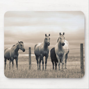 Quarter Horses in der kanadischen Prärie Mousepad