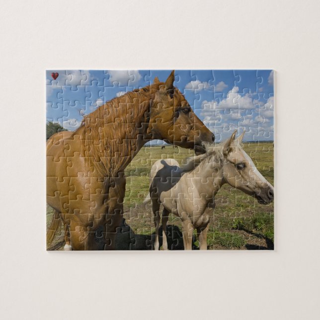 Quarter Horses Texas Puzzle (Horizontal)