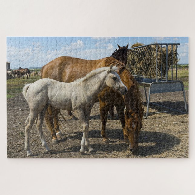 Quarter Pferde Texas. Jigsaw Puzzle (Horizontal)