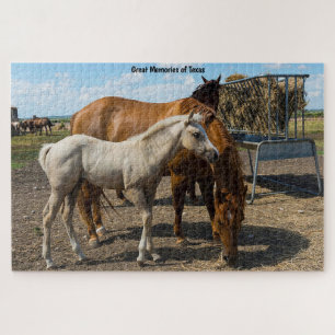 Quarter Pferde Texas. Jigsaw Puzzle
