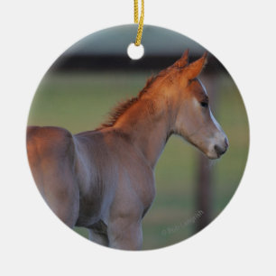 Quarterhorse-Fohlen Keramikornament