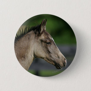 Quarterhorse-FohlenHeadshot Button