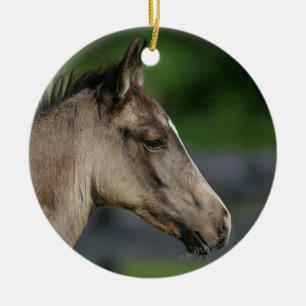 Quarterhorse-FohlenHeadshot Keramikornament