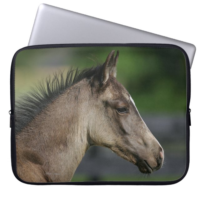 Quarterhorse-FohlenHeadshot Laptopschutzhülle (Vorderseite)