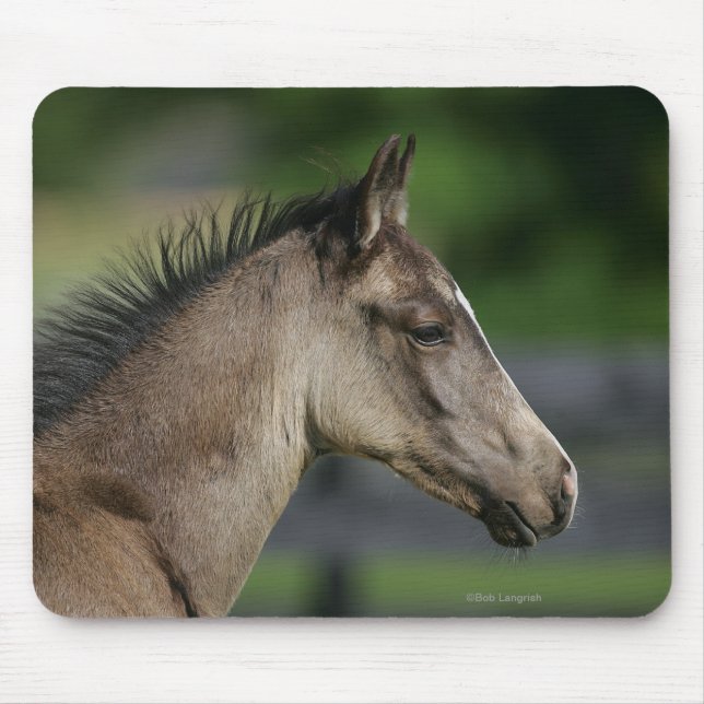 Quarterhorse-FohlenHeadshot Mousepad (Vorne)
