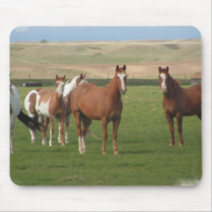 Quarterhorse-Herden-Mausunterlage Mousepad