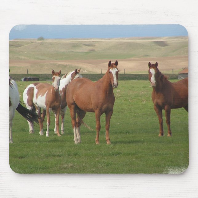 Quarterhorse-Herden-Mausunterlage Mousepad (Vorne)
