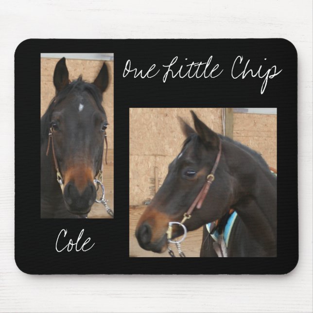 Quarterhorse Mousepad (Vorne)