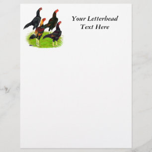 Quartett "Oriental Game Fowl"
