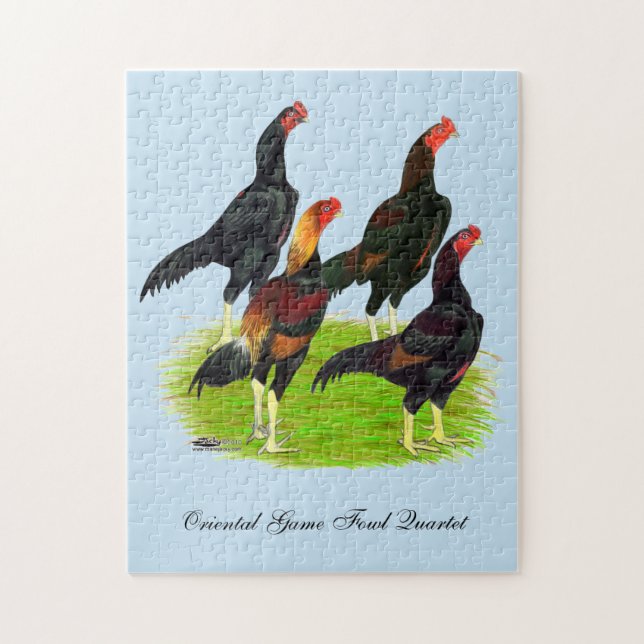 Quartett "Oriental Game Fowl" Puzzle (Vertikal)