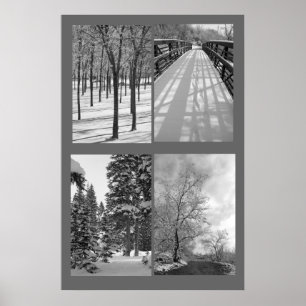 Quartett-Schwarzweiss-Natur-Plakat Poster