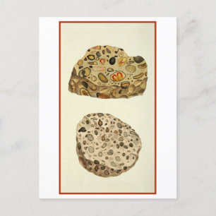 Quartzose Pudding Stone Mineralogie Illustration Postkarte
