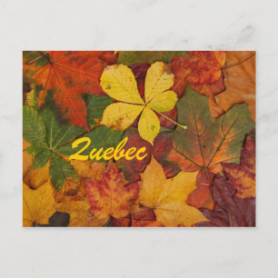 Quebec Autumn Leaves Postcard Postkarte