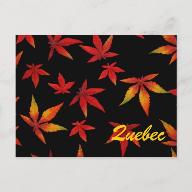 Quebec Autumn Leaves Postcard Postkarte (Vorderseite)