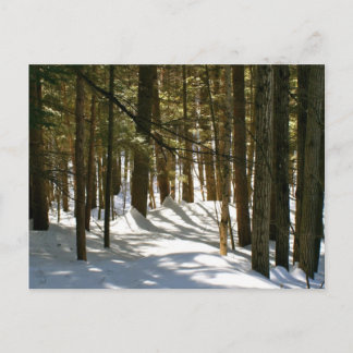 Quechee, VT Postkarte