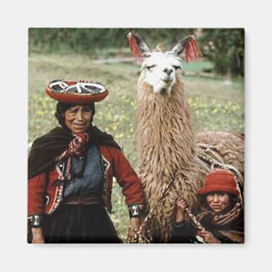 Quechua Frau mit dem zwei Lama-Foto Magnet