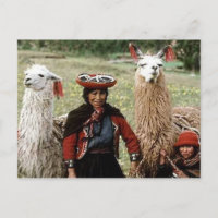 Quechua-Frau mit zwei Llamas-Fotos