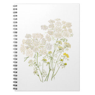 Queen Ann Lace Tinte und Aquarellmalerei Notizblock