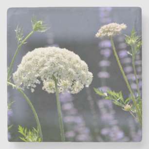 Queen Anne Untersetzer