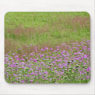 Queen Anne's Lace Daucus carota), die Mousepad