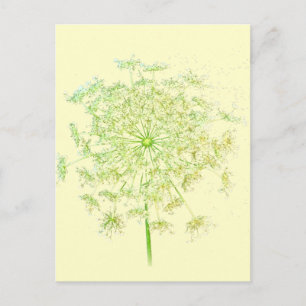 Queen Anne's Lace Geschenke und Favoriten Postkarte